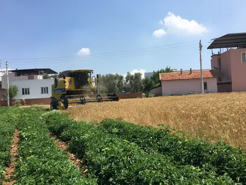 Menderes, İzmir saha ziyareti (Haziran 2017) — genel saha