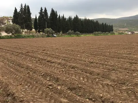Torbalı, İzmir saha ziyareti (Nisan 2019) — fide dikimi