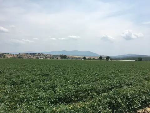 İzmir saha ziyareti (Haziran 2019) — genel saha