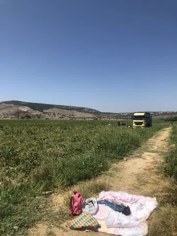 Torbalı, İzmir saha ziyareti (Ağustos 2019) — pamuk