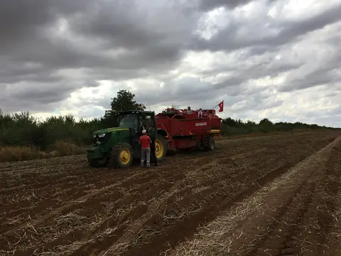 Sarayönü, Konya saha ziyareti (Eylül 2016) — patates