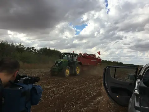 Sarayönü, Konya saha ziyareti (Eylül 2016) — patates