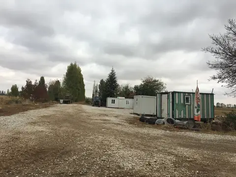 Sarayönü, Konya saha ziyareti (Ekim 2016) — patates