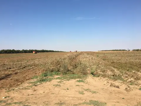 Sarayönü, Konya saha ziyareti (Ekim 2016) — patates