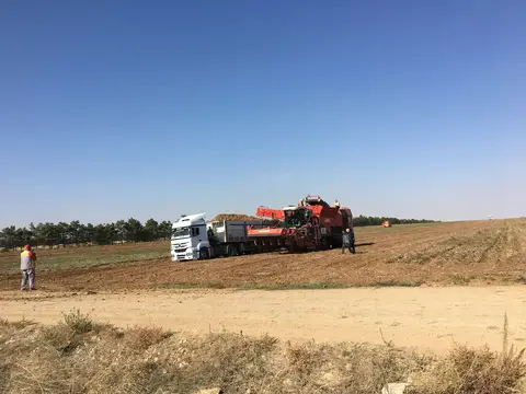 Sarayönü, Konya saha ziyareti (Ekim 2016) — patates