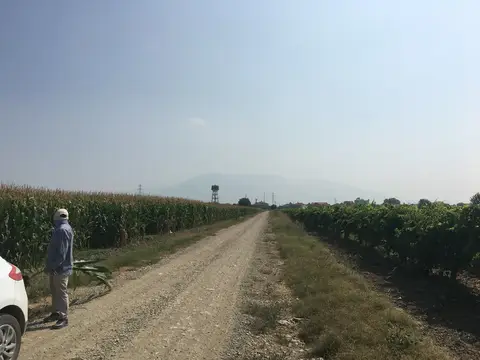 Şehzadeler, Manisa saha ziyareti (Ağustos 2016) — mısır