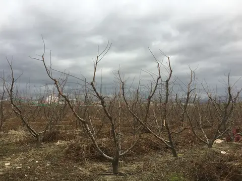 Manisa saha ziyareti (Aralık 2016) — genel saha