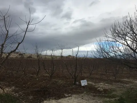 Manisa saha ziyareti (Aralık 2016) — genel saha