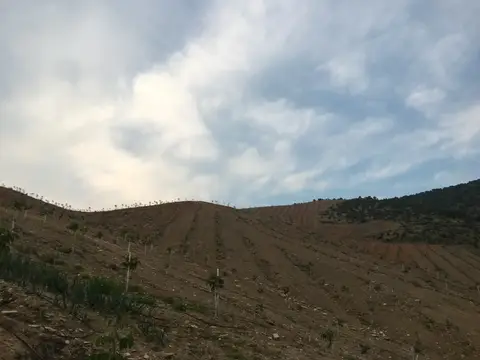 Salihli, Manisa saha ziyareti (Mayıs 2019) — genel saha