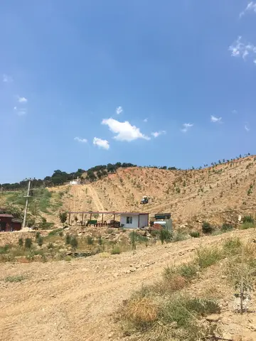 Salihli, Manisa saha ziyareti (Temmuz 2019) — ceviz