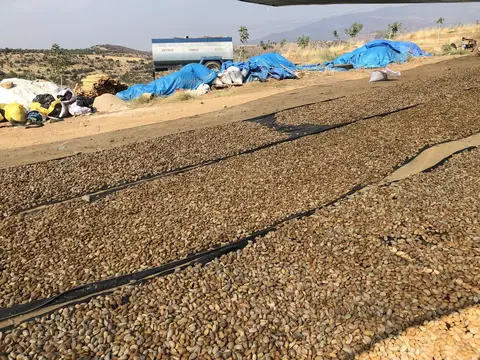 Salihli, Manisa saha ziyareti (Eylül 2019) — genel saha