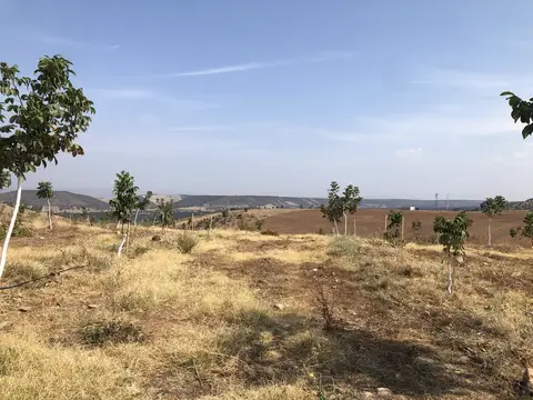 Salihli, Manisa saha ziyareti (Eylül 2019) — genel saha