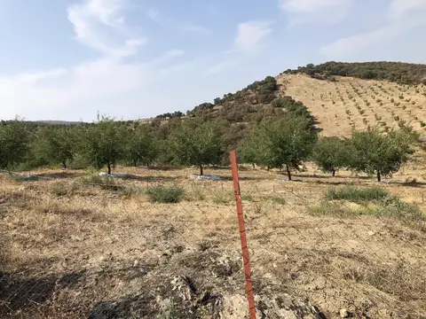 Salihli, Manisa saha ziyareti (Eylül 2019) — genel saha