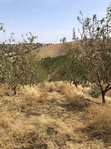 Salihli, Manisa saha ziyareti (Eylül 2019) — genel saha