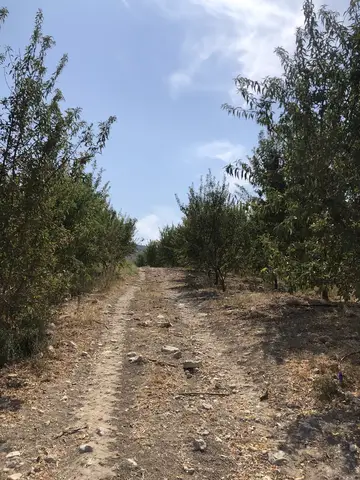 Salihli, Manisa saha ziyareti (Eylül 2019) — genel saha
