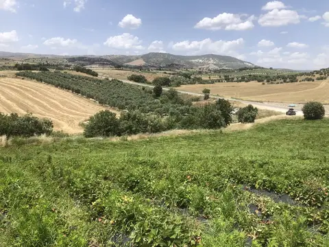 Manisa saha ziyareti (Haziran 2020) — genel saha