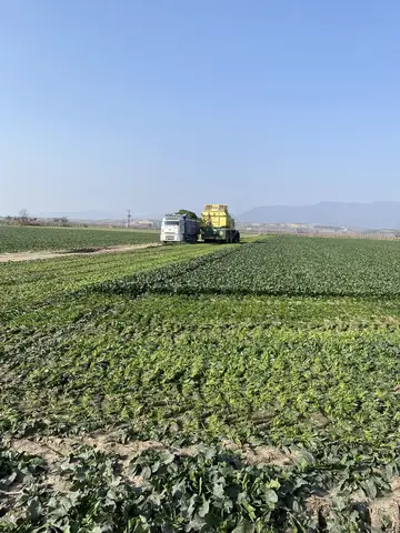 Manisa saha ziyareti (Şubat 2021) — genel saha