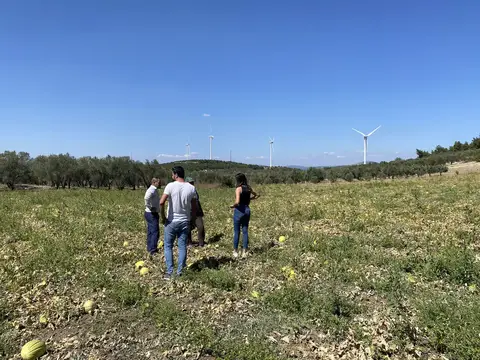 Manisa saha ziyareti (Eylül 2022) — genel saha