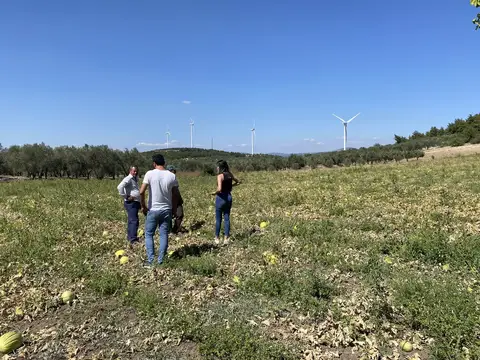 Manisa saha ziyareti (Eylül 2022) — genel saha