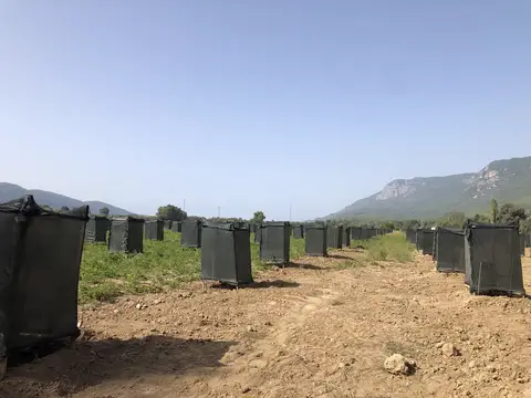 Ula, Muğla saha ziyareti (Ekim 2020) — fidan