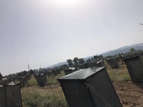 Ula, Muğla saha ziyareti (Ekim 2020) — fidan