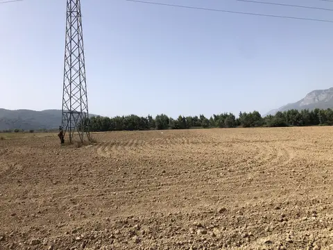 Ula, Muğla saha ziyareti (Ekim 2020) — fidan