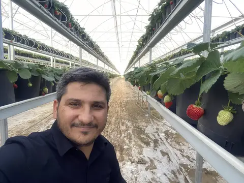 Fethiye, Muğla saha ziyareti (Şubat 2021) — çilek