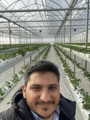 Milas, Muğla saha ziyareti (Şubat 2021) — çilek