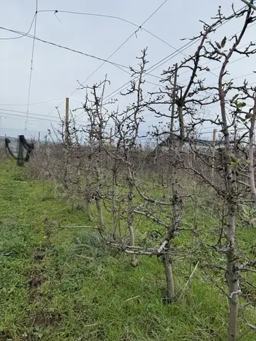Samsun saha ziyareti (Aralık 2023) — genel saha