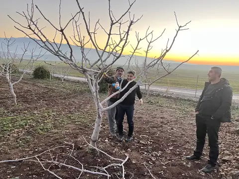 Kurtalan, Siirt saha ziyareti (Aralık 2023) — antep fıstığı