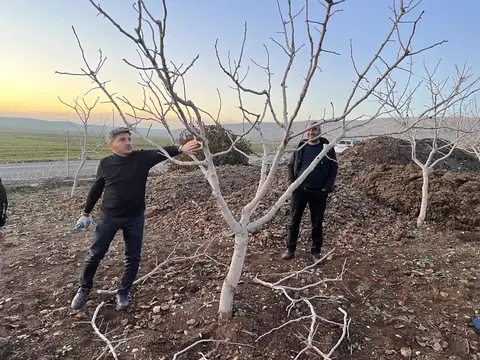 Kurtalan, Siirt saha ziyareti (Aralık 2023) — antep fıstığı