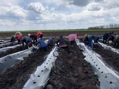 Ukrayna saha ziyareti (Nisan 2021) — patates