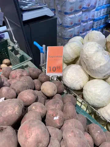 Ukrayna saha ziyareti (Nisan 2021) — patates