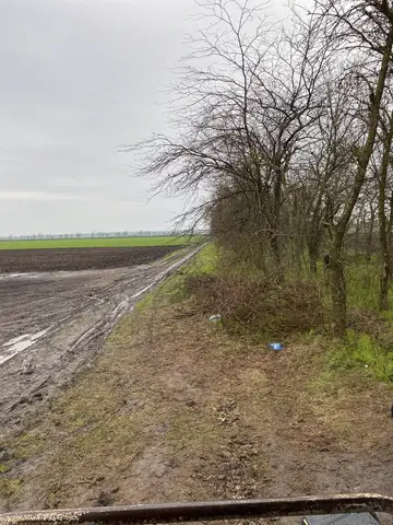 Ukrayna saha ziyareti (Nisan 2021) — patates