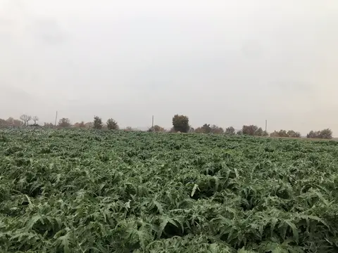 Uşak saha ziyareti (Aralık 2019) — genel saha
