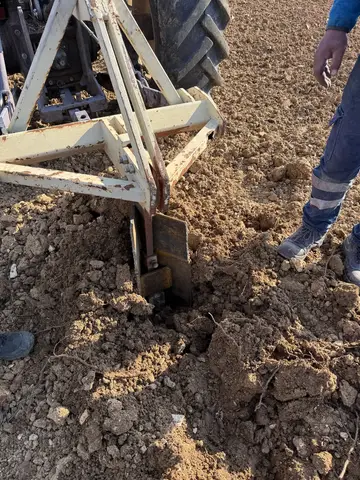 Eşme, Uşak saha ziyareti (Mart 2024) — fidan